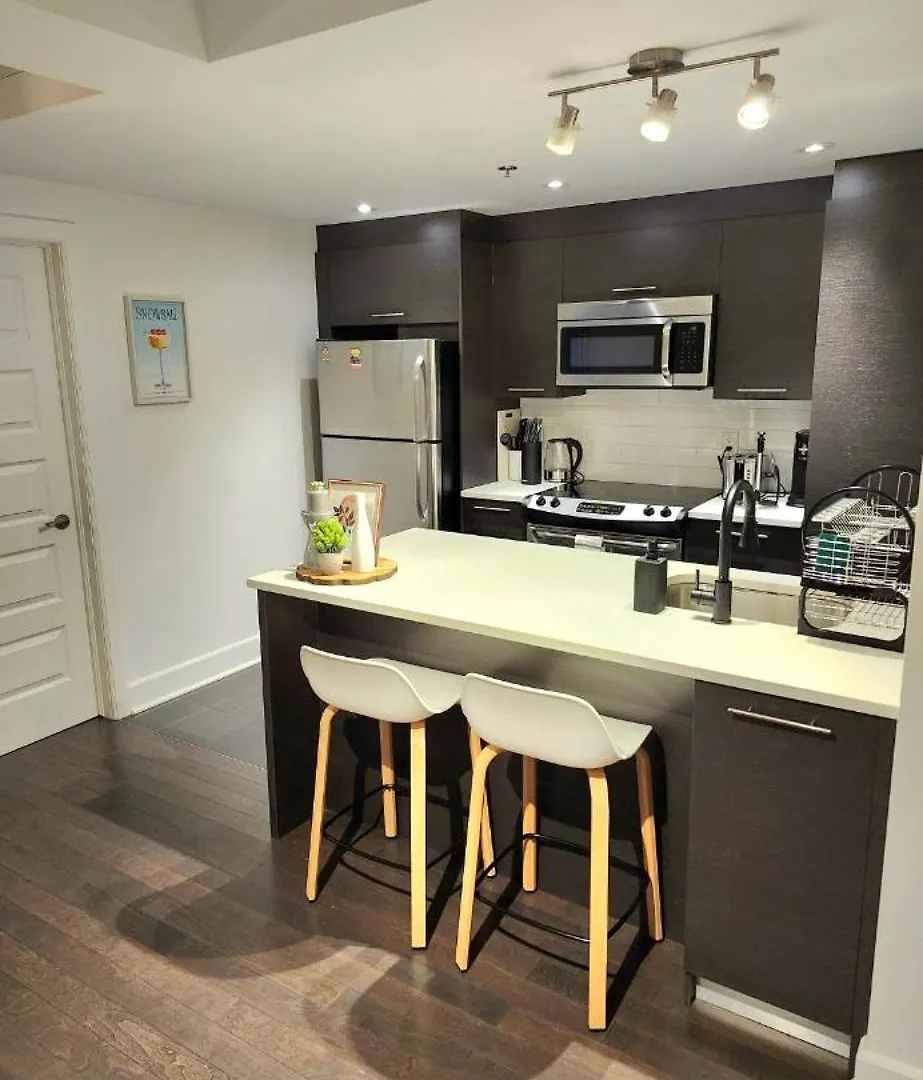 Condo 2 Chambres Avec Parking Prive - Griffintown Montreal Apartment